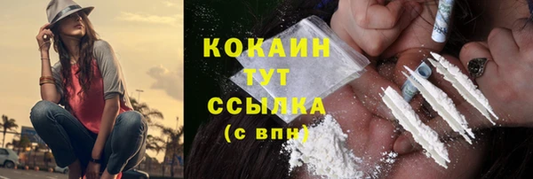 прущие грибы Абинск