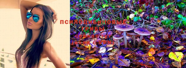 марки lsd Алексин