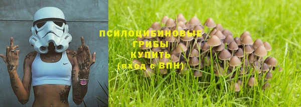 синтетический гашиш Алексеевка