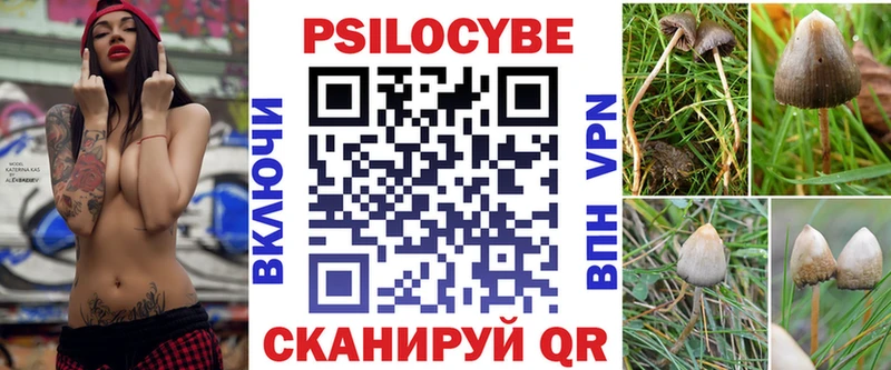 Галлюциногенные грибы Psilocybine cubensis  магазин    Болгар 